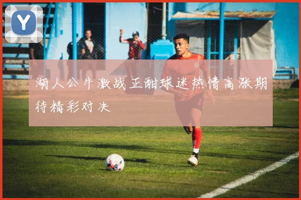 湖人公牛激战正酣球迷热情高涨期待精彩对决