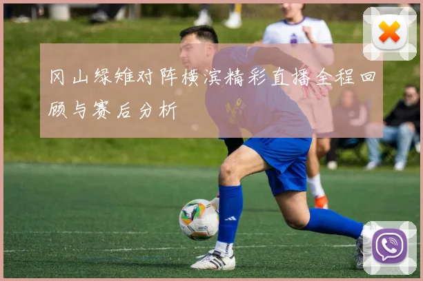 冈山绿雉对阵横滨精彩直播全程回顾与赛后分析