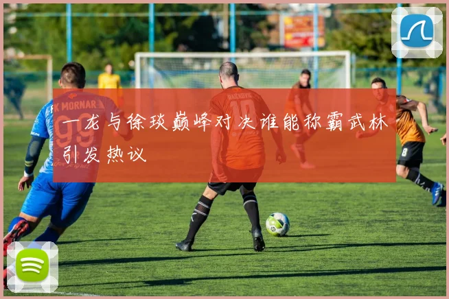 一龙与徐琰巅峰对决谁能称霸武林引发热议