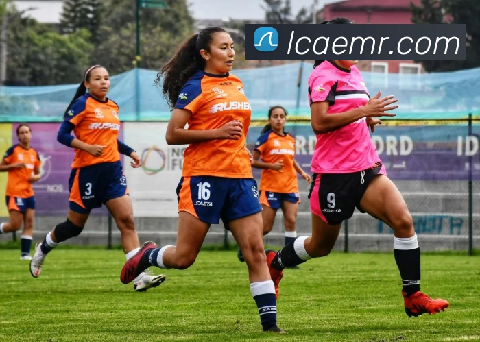 谈球吧平台生态图