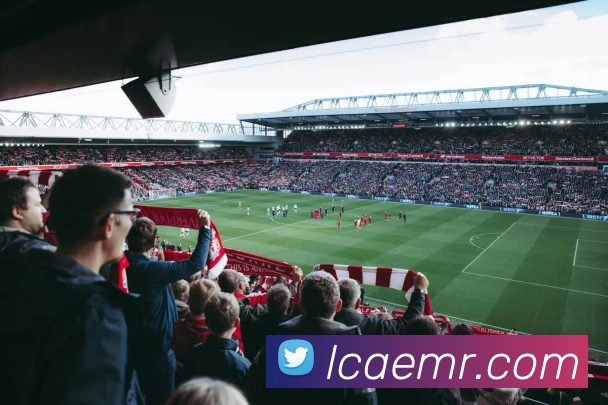 谈球吧APP 封面图